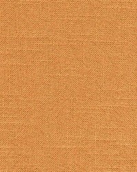 Rational Decision Cinnamon by   