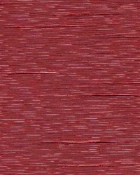 New Bianca Cabernet by   