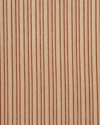 Tapir Cocoa by  RM Coco 