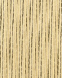 Griffin Stripe Corn by   