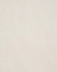 Pavarotti Oyster by  RM Coco 