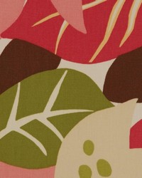 Pans Starburst by  RM Coco 