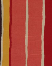 Complex Jet by  RM Coco 