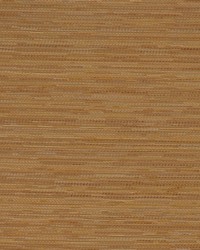 Connoisseur Golden by   