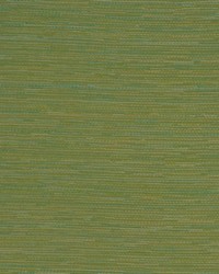 Connoisseur Caribe by   