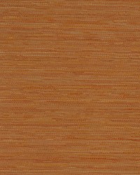 Connoisseur Citrus by   