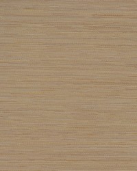 Connoisseur Straw by   