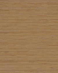 Connoisseur Birch by   