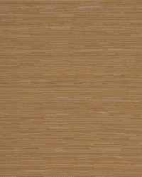 Connoisseur Latte by   