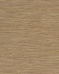 Connoisseur Pebble by   