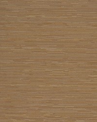 Connoisseur Stone by   