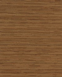 Connoisseur Sisal by   