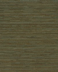 Connoisseur Spruce by   