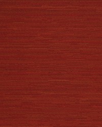 Connoisseur Mandarin by   