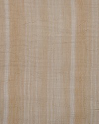 Colobus Almond by  RM Coco 