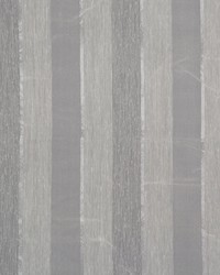 Maestro Champagne by   