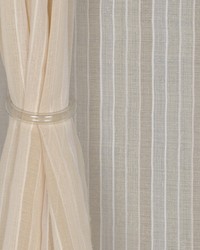 Gerbera Parchment by   