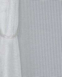 Snowdrop Winter White by   