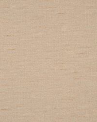 Swank Almond by  RM Coco 