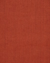 Insight Bittersweet by   