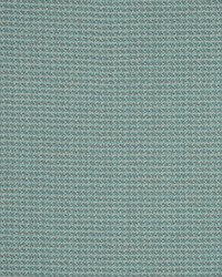 RM Coco Alpine Celadon Fabric