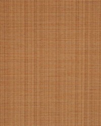 Bradford Cinnamon by   