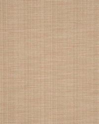 Bradford Beige by   