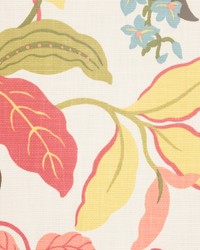 Climbing Punch by  Futura Vinyls 