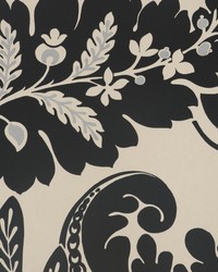 Trail Noir by  Futura Vinyls 