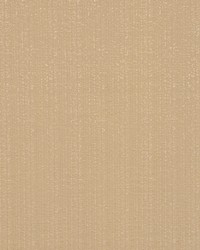 Timex Rye by  RM Coco 