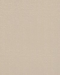 Timex Cream by  RM Coco 