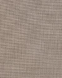 Citizen Stone by  RM Coco 