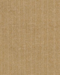 Columbia Camel by  RM Coco 