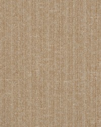 Columbia Cocoa by  RM Coco 