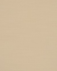 Bulova Vanilla by  RM Coco 