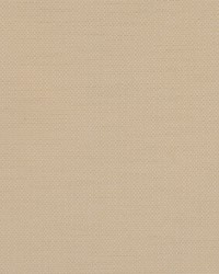 Bulova Polar by  RM Coco 