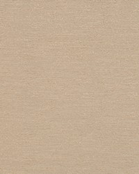 Momentum Oyster by  RM Coco 