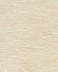 Take Charge Bisquit by   