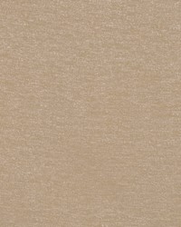 Momentum Natural by  RM Coco 