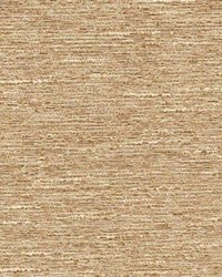 Take Charge Latte by   