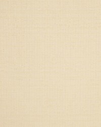 Brighton Coconut by  RM Coco 