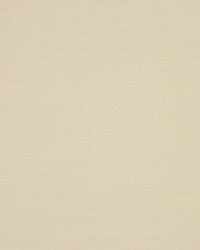 Eternity Eggshell by   