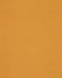 Eternity Butternut by   