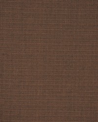 Equus Macadamia by  RM Coco 