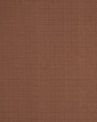 Equus Cinnamon by  RM Coco 