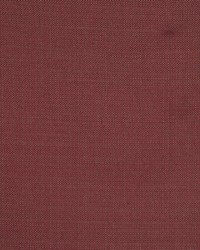 Equus Vineyard by  RM Coco 