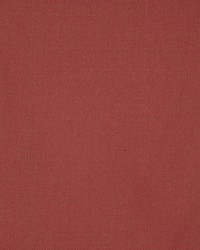 Equus Sangria by  RM Coco 