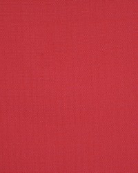 Equus Lollipop by  RM Coco 