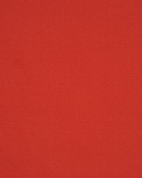 Equus Scarlet by  RM Coco 