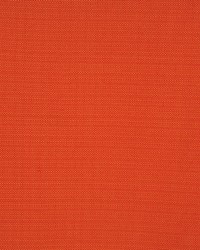 Equus Mandarin by  RM Coco 